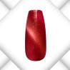 Chartreux Magnet Cat Eye Gel - 5ml