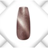 Magnet Cat Eye Serie 2025 - 9 Stück a 5ml inkl. Magnetstab Gold