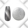 Magnet Cat Eye Serie 2025 - 9 Stück a 5ml inkl. Magnetstab Gold