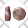 Magnet Cat Eye Serie 2025 - 9 Stück a 5ml inkl. Magnetstab Gold