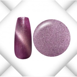 Magnet Cat Eye Serie 2025 - 9 Stück a 5ml inkl. Magnetstab Gold