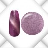 Magnet Cat Eye Serie 2025 - 9 Stück a 5ml inkl. Magnetstab Gold