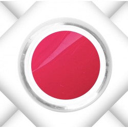 Crazy Flamingo - Deco Gel -...