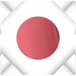 Dragonfruit, Farbgel, 5ml