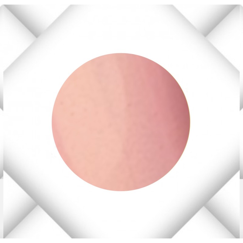 Springcolor Set 2026 10 Farbgele , je 5ml