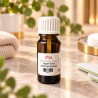 Super Bond - (Acid Free Bonder) - 10 ml